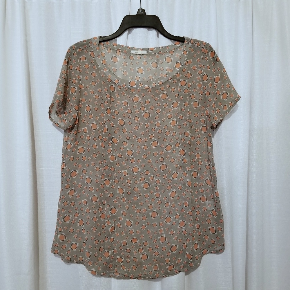 Pleione Sheer Blouse